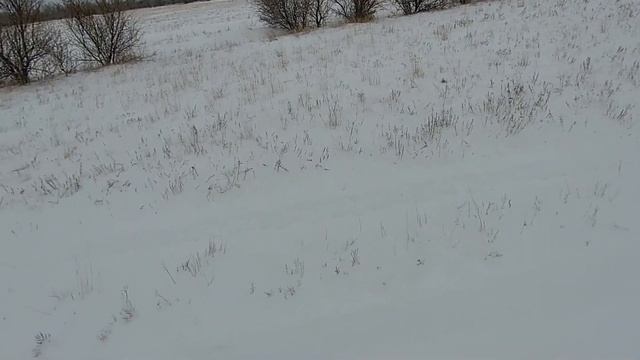 Охота на зайцев . Если бы , мы знали, что они рядом. смотреть онлайн