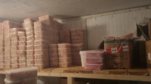 «КРАБОВАЯ» АФЕРА | Новости Камчатки | Масс Медиа