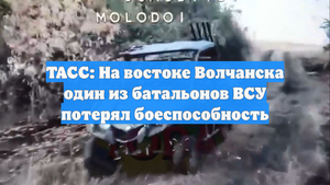 ТАСС: На востоке Волчанска один из батальонов ВСУ потерял боеспособность