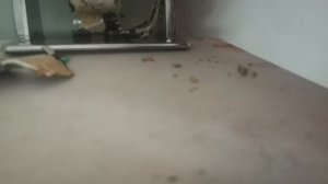 VID_20250919_144053.mp4