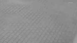 Верховный суд оставил в силе приговор убийце школьницы из Каменска-Уральского. Панорама 19.09.25