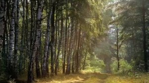 Главное о спасении. Живая вера. Ложь и Истина. Святитель Игнатий Брянчанинов