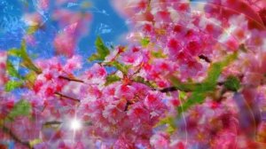 ,,ՕՎՍԱՆՆԱ Ի ԲԱՐՁՈւՆՍ,,   -  նվագակցում է ԱՆԱՀԻՏ ՄԵԼՔՈւՄՅԱՆԸ