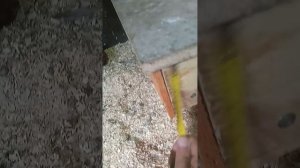 Лучшие гнёзда для кур несушек. Размеры.