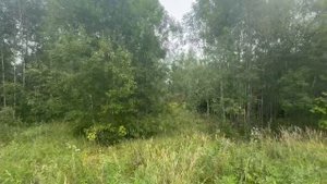 ЗУ :2587 д. Хметьево