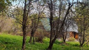 Сентябрьская грусть