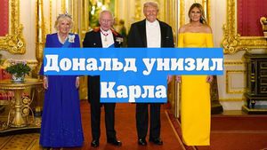 Дональд унизил Карла