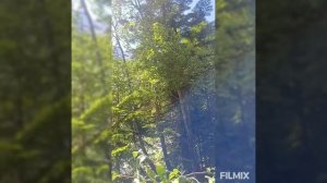 На море через перевал Аишха 2401,5метра.mp4