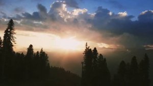 Всё за любовь