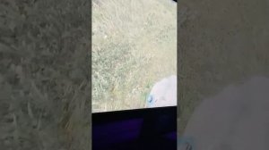 ночь в игре раст rust/раст