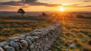 Behind the Wall