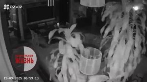 На видео — то, как трясло утром жителей одной из многоэтажек.