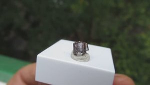 Пейнит купить