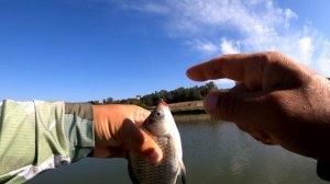 Мормышинг с НАВАХО Мормышка (Олта), 1.85м, 0.1-0.5г