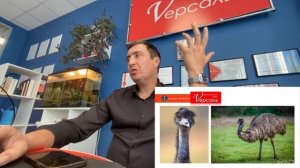 Урок 1 | Австралия | викторина и лексика | Аркадий Кодрянский | модуль 2 | рекорды Гиннесса