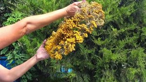 панно из трав