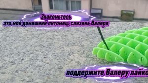 слизень Валера