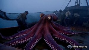 Videos and music created by AI