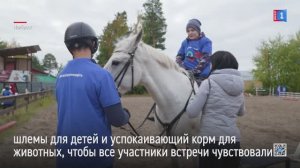 «Сила в дружбе»: как лошади учат детей доверять и любить?