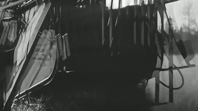 1969 год. Тюменский район. Уборка овса