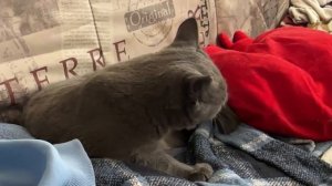 Всем привет, просыпаемся улыбаемся и умываемся, сегодня я проспал до обеда) Всем хорошего дня