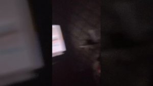 просто гуська
