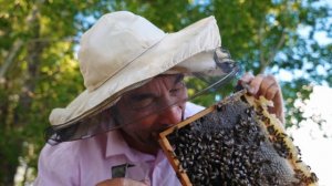 Илюхина ферма - Вторая серия