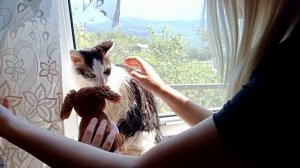 Отпус Сочи 2025 Часть 6 Балет Дача