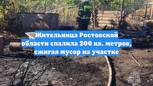 Жительница Ростовской области спалила 200 кв. метров, сжигая мусор на участке