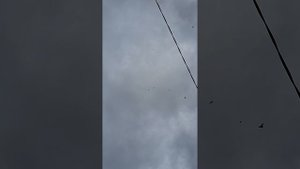 ленинаканцы на тренировки