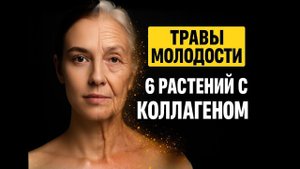 6 растений для ВЕЧНОЙ МОЛОДОСТИ. Заставь свой организм вырабатывать КОЛЛАГЕН!