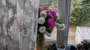 настроение мечты и весны