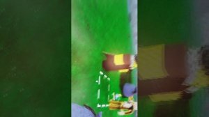 вот вам и выживание