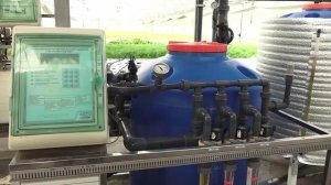 (18.09.2025) Местные огурцы будут в магазинах  Комсомольска круглый год