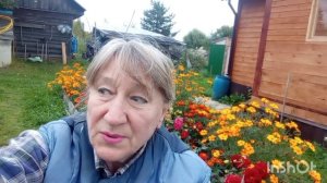 ОГОРОДНЫЕ ДЕЛА ЗАКАНЧИВАЮТСЯ ПОРА ДУМАТЬ ОБ ОТДЫХЕ ПОЕДЕМ В ЛАЗАРЕВСКОЕ ОТЕЛЬ ТИХИЙ РАЙ.СМЕШНЫЕ ЦЕНЫ