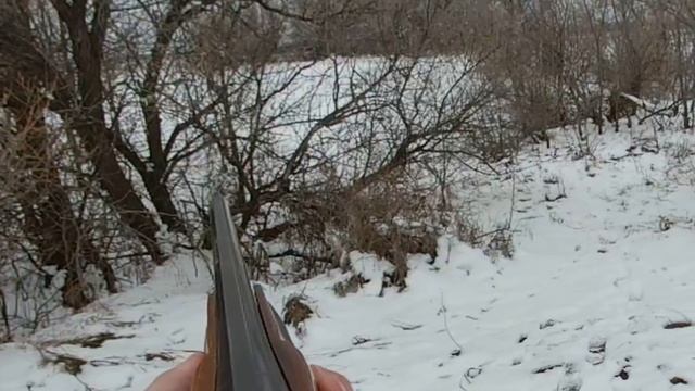 08 11 2024 Охота на зайчика Первый снег смотреть онлайн