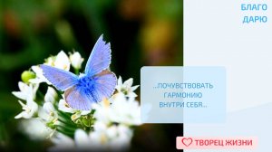 Благодарю за возможность быть неповторимой и подчеркивать свою красоту, принимая ее!