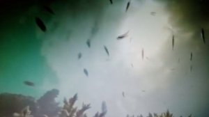 Я знаю,что я тот кого ты ждёшь. читает автор Богдан Бандура.