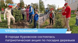В городе Куровское состоялась патриотическая акция по посадке деревьев