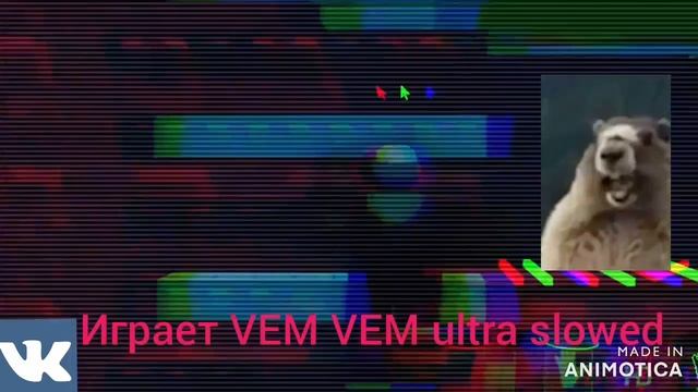 Бобры 🦫 сходят сума