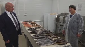 В Белоярском открылся рыбный мини-завод