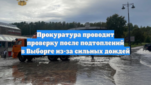 Прокуратура проводит проверку после подтоплений в Выборге из-за сильных дождей
