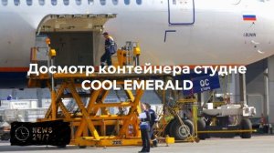В порту Петербурга нашли 1,5 тонны кокаина в партии бананов из Эквадора