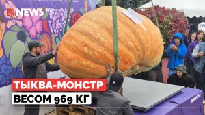 Гигант весом под тонну. Житель Подмосковья вырастил самую большую тыкву в России