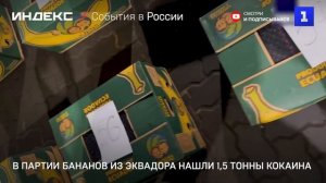 В партии бананов из Эквадора нашли 1,5 тонны кокаина