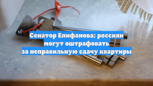 Сенатор Епифанова: россиян могут оштрафовать за неправильную сдачу квартиры