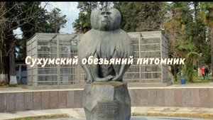 Абхазия | Сухумский обезьяний питомник