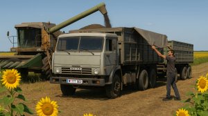 УБОРКА 🌻 УРОЖАЯ 2025... СЕМЕЧКА ПОШЛА... Камаз дальнобой