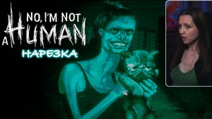 No I'm not a human за 13 минут