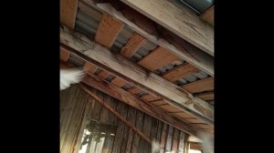 Сентябрь 2025